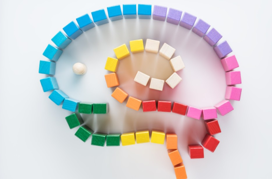 Cerveau et Jeu